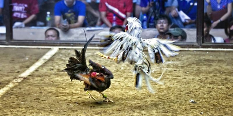777vin777 ﻿đăng nhập lô đề uy tín