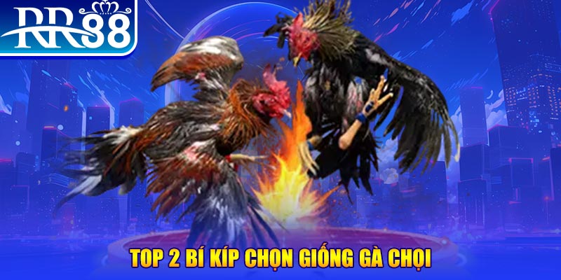 777vin777 bắn cá h5