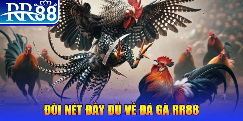 777vin777 gà chọi hoà phong