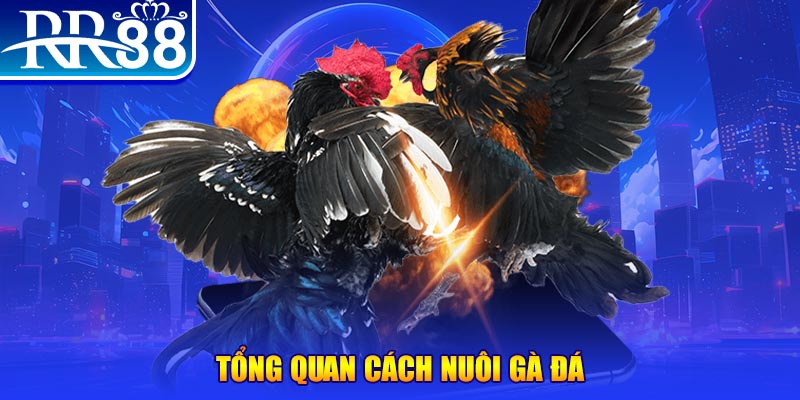 777vin777 xổ số thứ ba