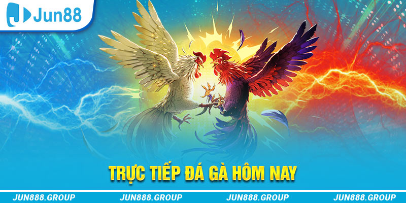 777vin777 trực tiếp đá gà thomo