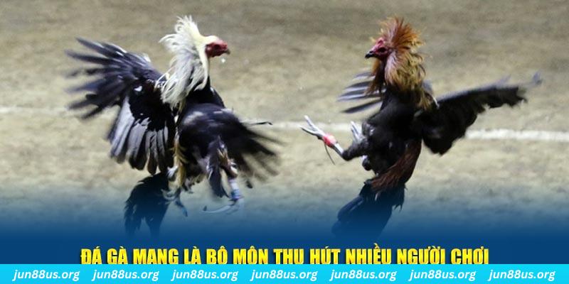 777vin777 xổ số long an