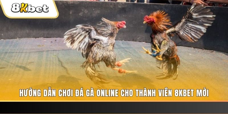 777vin777 nổ hũ đổi thưởng . ai