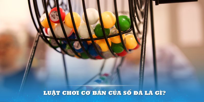 777vin777 Đĩa màu ace