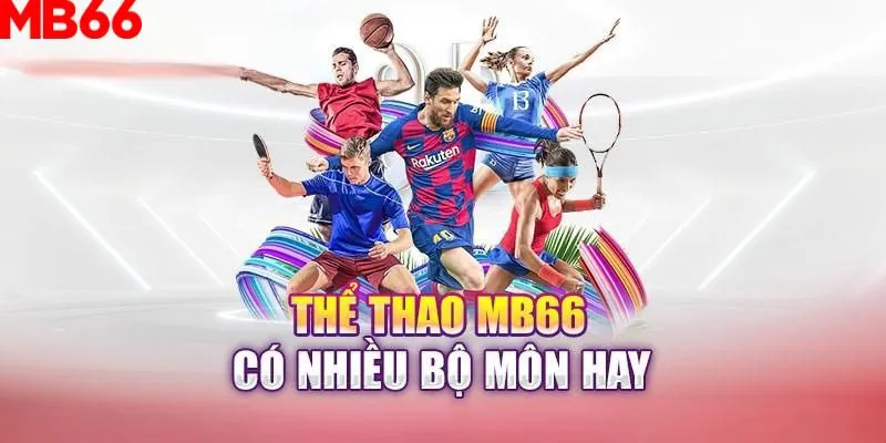 777vin777 slot là gì nghĩa