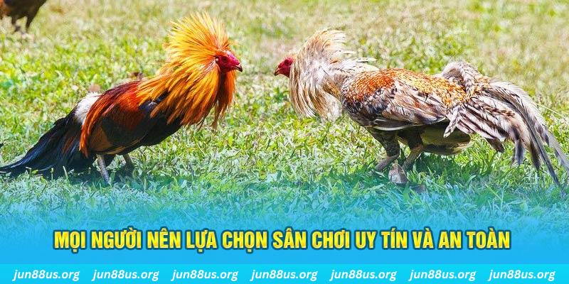 777vin777 Tài Xỉu
