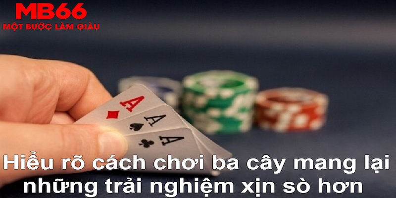 777vin777 DB Trực Tuyến