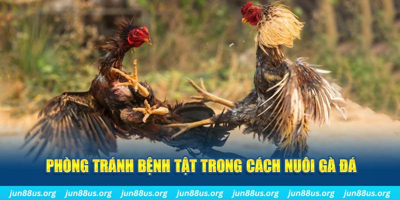 777vin777 natural” trong baccarat nghĩa là gì？