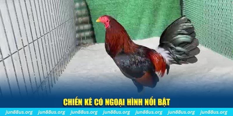 777vin777 nhạc slot là gì